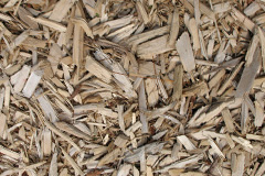 biomass boilers Monkwood